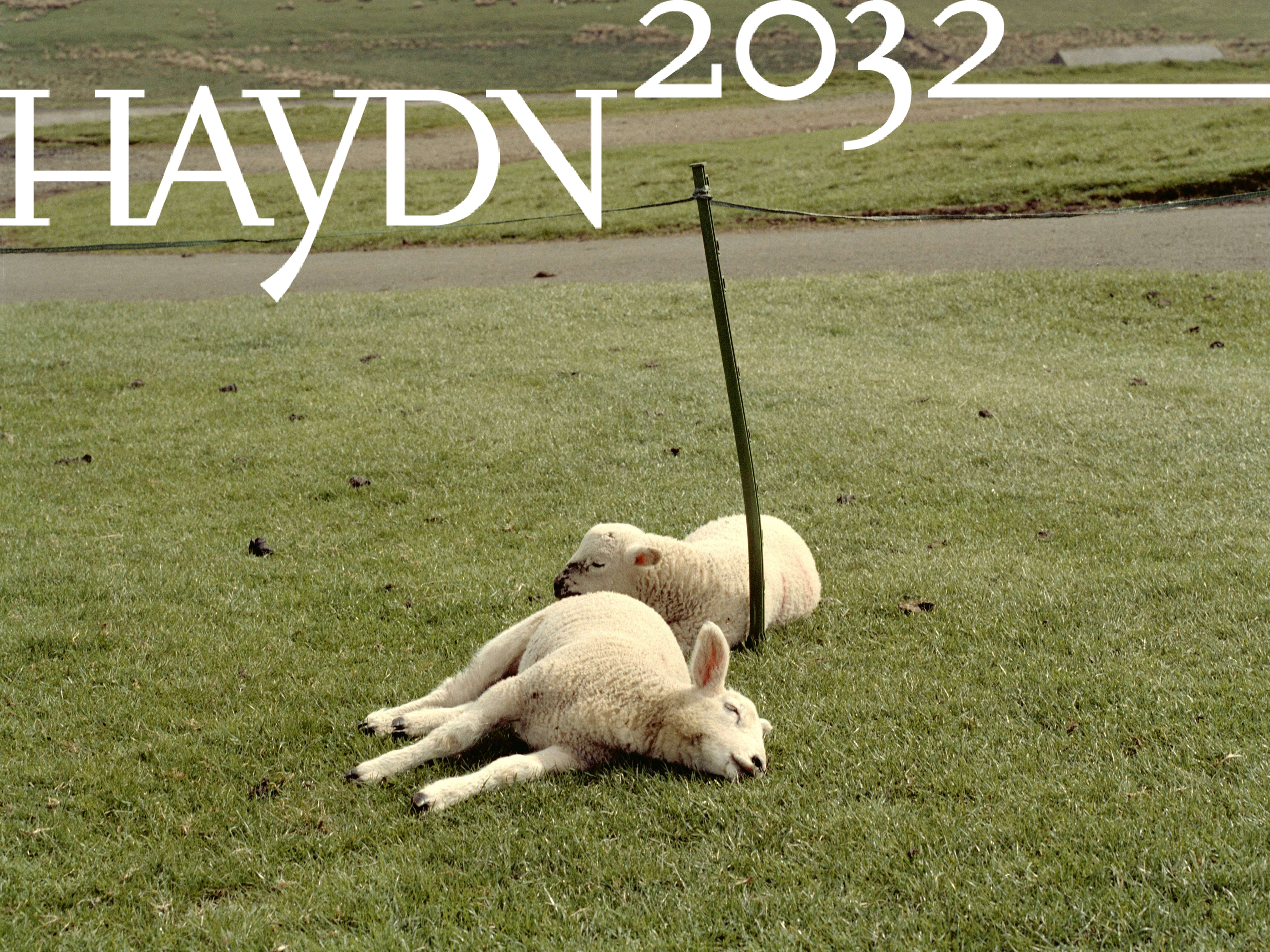 Haydn-Nacht "Il dolce far niente"