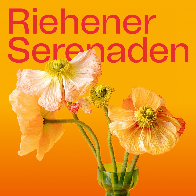 Riehener Serenaden, oranger Hintergrund, orange-rosarote Blumen in einer Vase