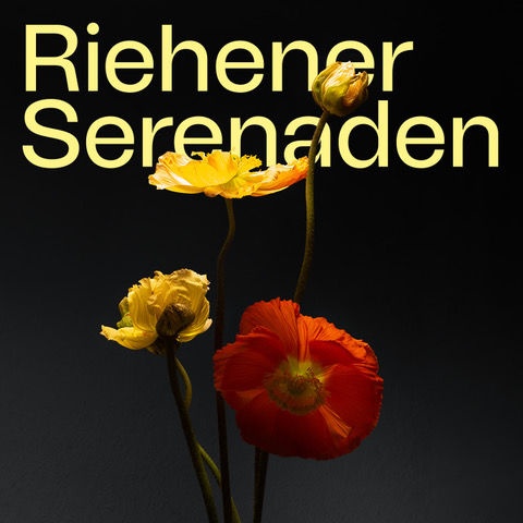 Schriftzug Riehener Serenaden, schwarzer Hintergrund, im Vordergrund rote und gelbe Mohnblumen