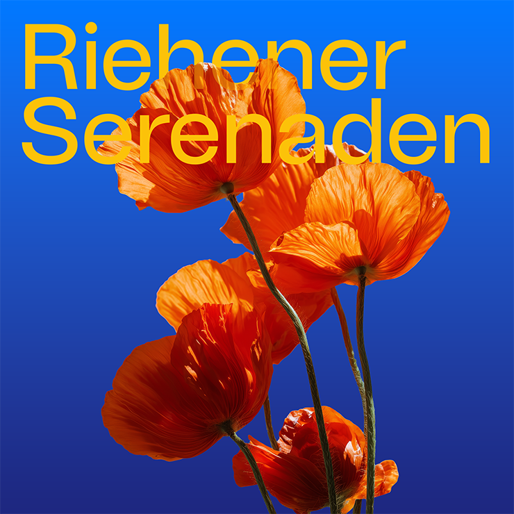 Riehener Serenaden. Mohnblumen vor blauem Hintergrund.